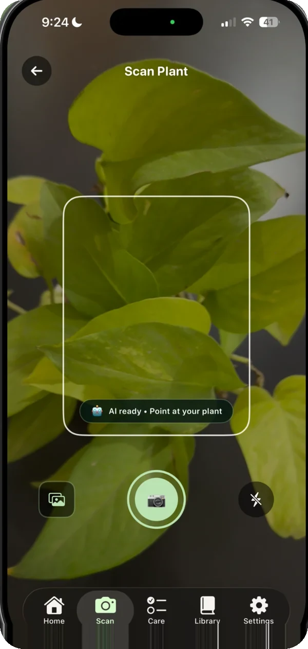 Scanning a pothos with the framing reticle.